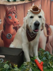 20251110_113105_copy_1987x2650