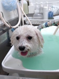 20251110_124103_copy_2022x2696