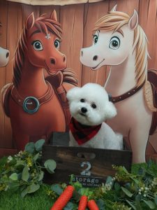 20251110_151923_copy_1979x2640