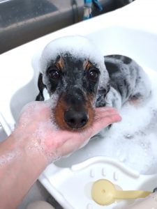 20251110_161657_copy_2992x3989