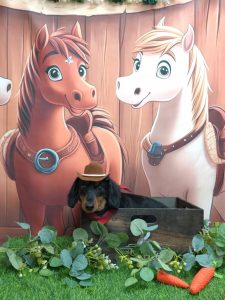 20251110_173715_copy_1865x2488