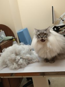 20251110_184258_copy_1992x2656