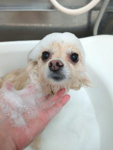 20251111_085637_copy_2700x3600_1