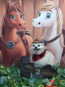 20251111_101703_copy_1868x2491