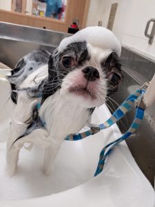 20251111_112315_copy_2207x2942_1