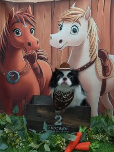 20251111_122559_copy_1910x2548