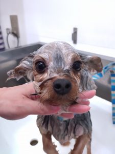 20251111_130204_copy_2535x3380