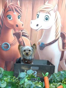 20251111_144401_copy_1884x2511