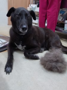 20251111_155818_copy_2679x3571