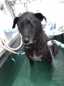 20251111_163706_copy_2096x2794