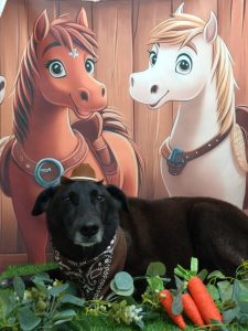 20251111_172940_copy_1952x2603