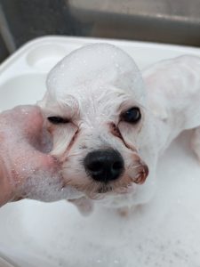 20251113_092509_copy_2700x3600_1