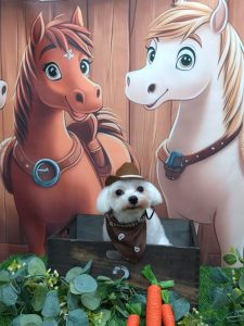 20251113_101500_copy_1913x2550