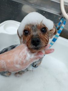 20251113_113138_copy_2700x3600_1