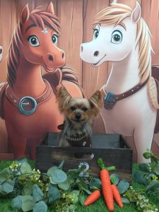 20251113_132427_copy_1884x2511