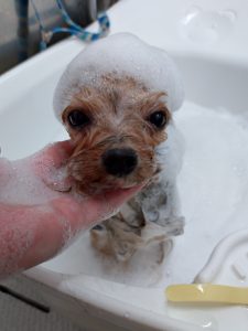 20251113_135459_copy_2495x3326