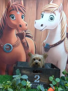 20251113_150910_copy_1970x2627