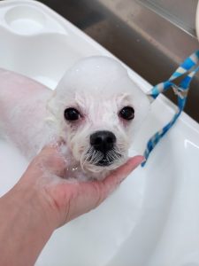 20251113_154403_copy_2789x3719