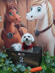 20251113_174044(1)~2_copy_1889x2519