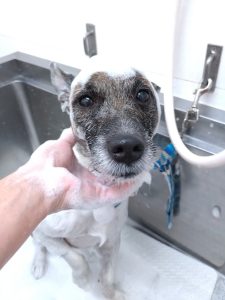 20251113_182645_copy_5400x7200