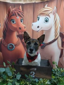 20251113_185759_copy_1982x2642