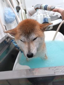 20251114_090446_copy_1944x2592