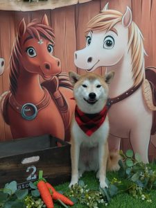 20251114_100633_copy_1964x2619