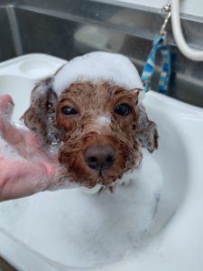 20251114_164345_copy_2660x3546