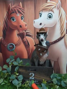 20251115_094604_copy_1894x2526