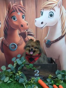 20251115_114702_copy_1826x2435