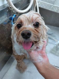 20251115_120430_copy_2477x3302_1