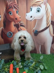 20251115_143231_copy_1900x2533