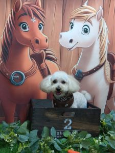 20251115_172318_copy_1877x2503