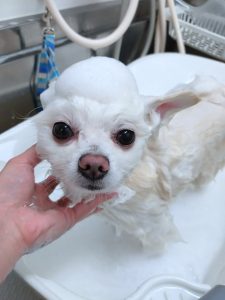 20251115_174823_copy_2700x3600_1