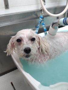 20251117_093147_copy_2160x2880