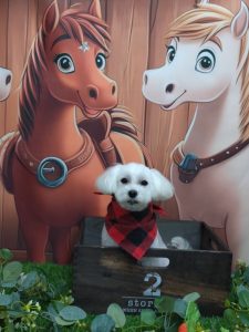 20251117_115032(1)_copy_2106x2808