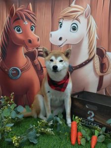 20251117_124023_copy_2007x2676