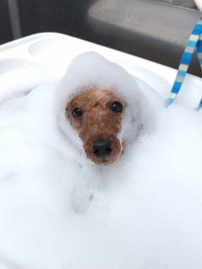 20251117_143545_copy_1996x2660