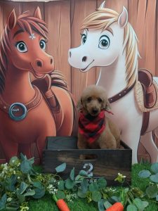 20251117_162202_copy_1884x2511