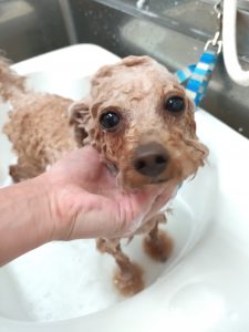 20251117_165218_copy_3013x4018