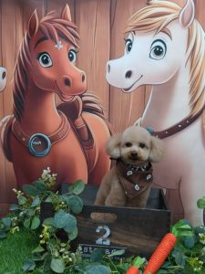 20251117_185605_copy_1962x2616