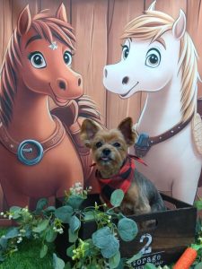 20251118_122535_copy_1934x2579