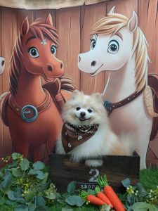 20251118_141143_copy_1909x2546