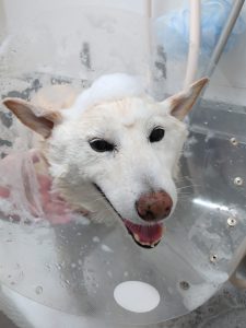 20251118_145546_copy_2516x3355