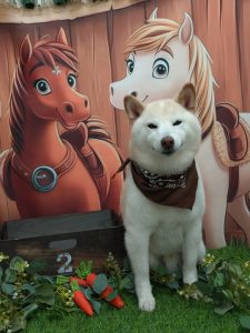 20251118_160940(1)_copy_1865x2486