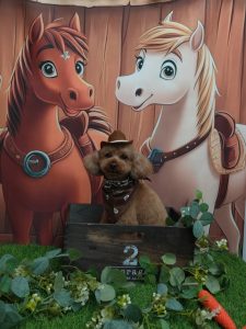 20251118_190205_copy_1860x2480