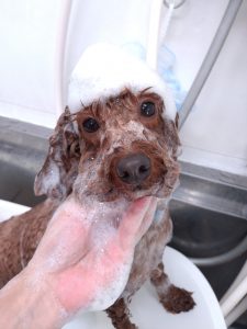 20251120_093321_copy_2353x3136