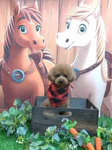 20251120_160412_copy_1851x2468