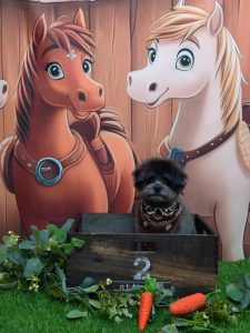 20251120_181144(1)~2_copy_1791x2386