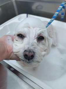 20251121_093713_copy_2700x3600_1